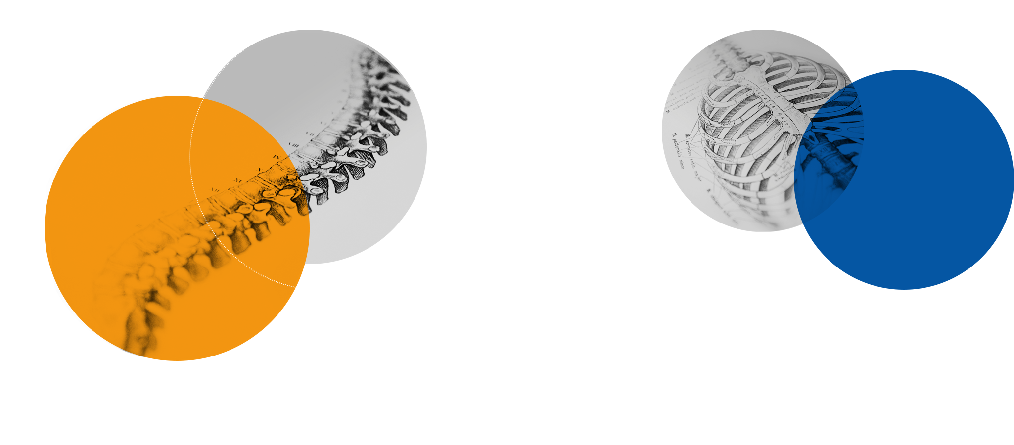 logobackground
